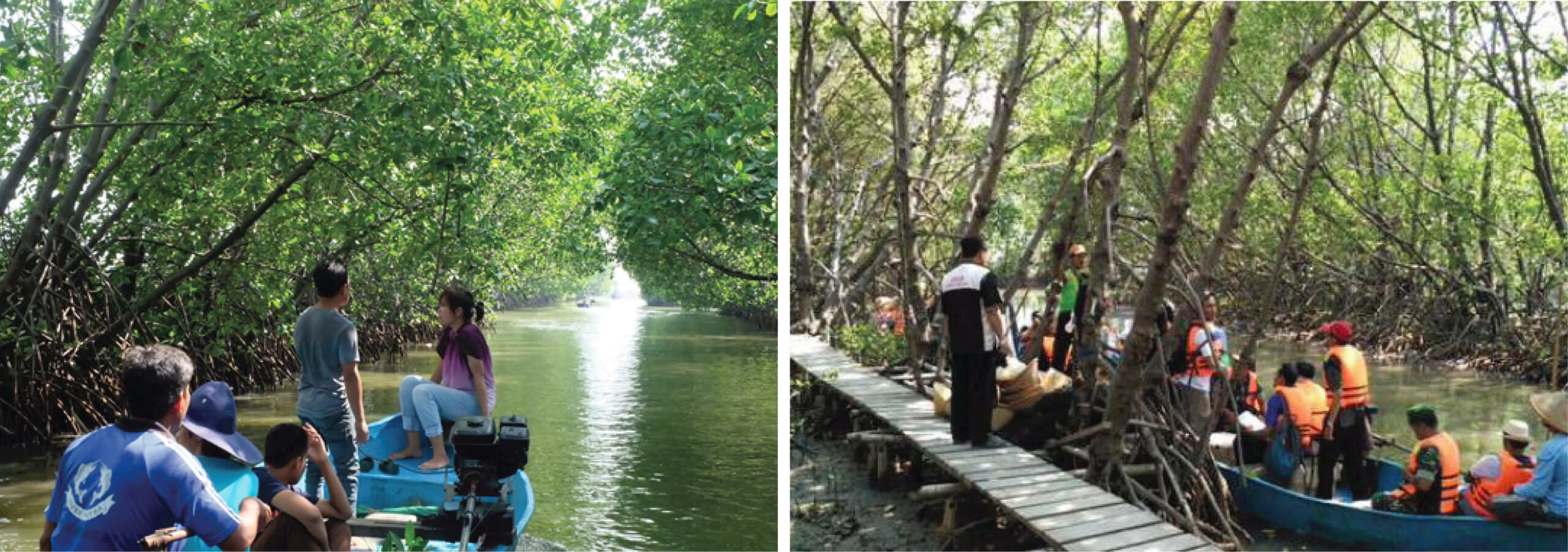 Ketahanan Masyarakat Pesisir Melalu Peningkatan Jasa Ekosistem Mangrove